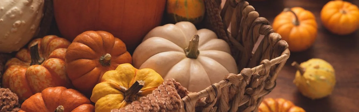 Best Pumpkin Patches in Charlottesville VA