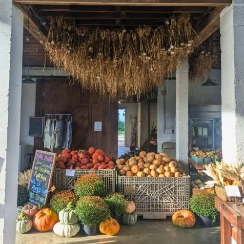 Bellair Farm Fall Festival near Charlottesville VA