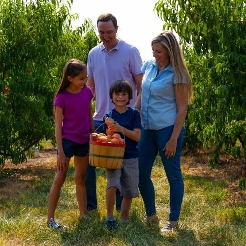 Chile's Orchard Fall Into Fun Festival