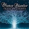 Winter Wander Light Displays in Charlottesville